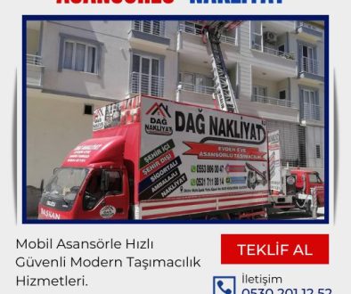 Asansörlü nakliyat