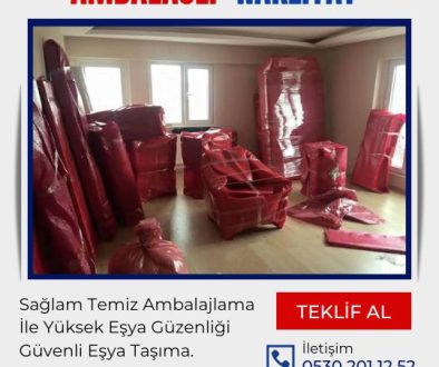 ambalajlı nakliyat